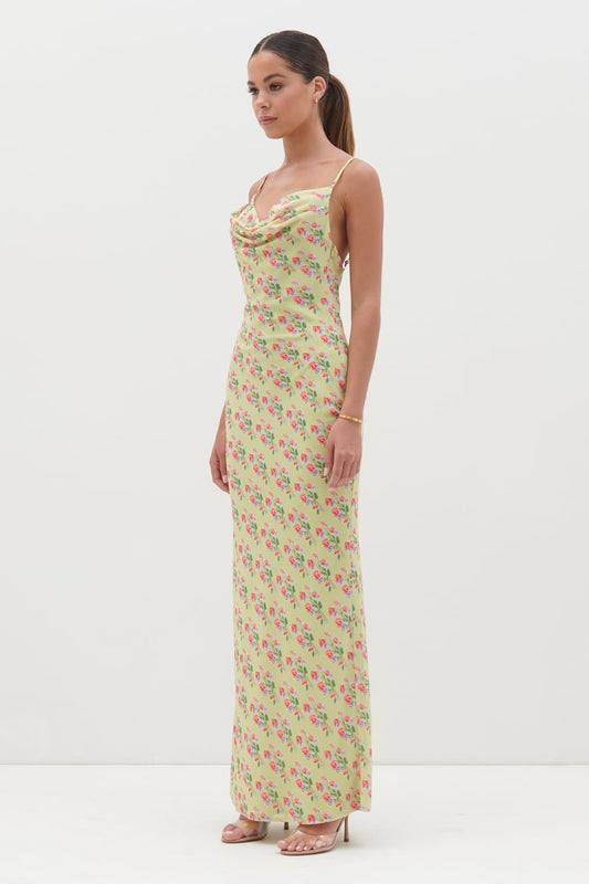 Keisha Printed Chiffon Maxi Dress - Botanic Floral