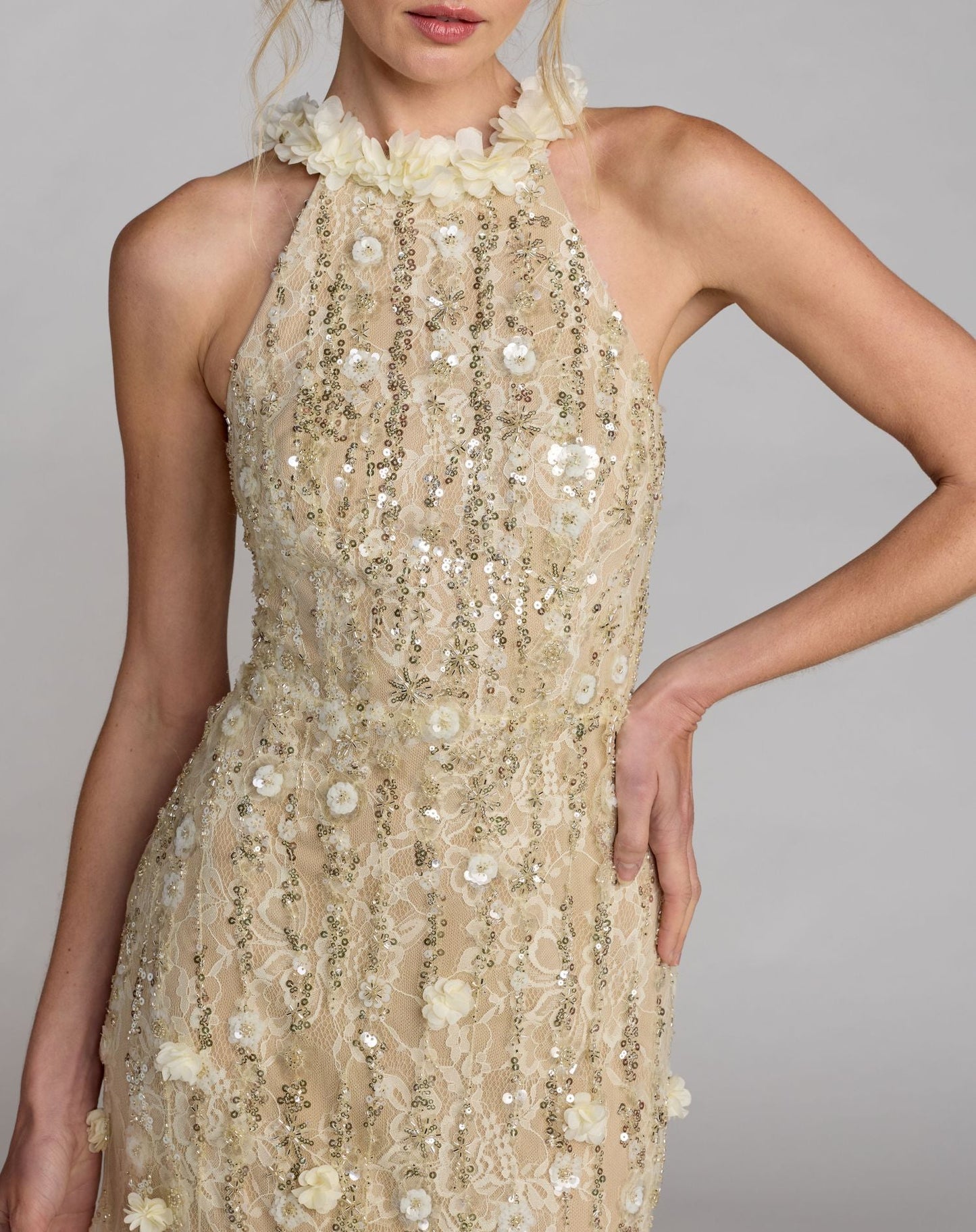 Beige Embellished Lace Halter Neck Mermaid Gown