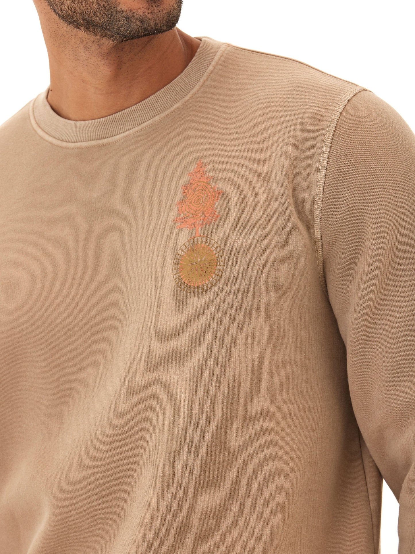 Mineral Wash Graphic Fleece Crew